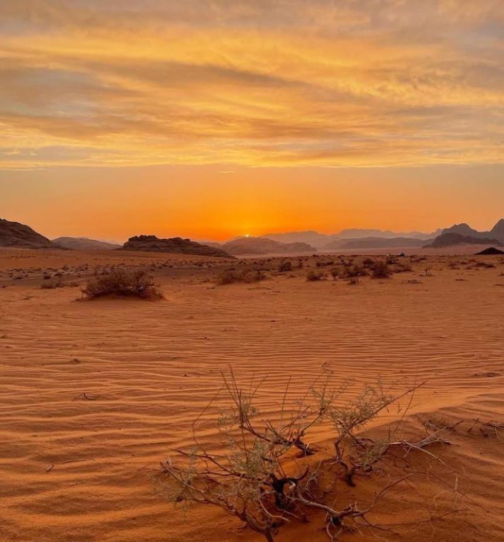 Wadi Rum Nature Екстериор снимка